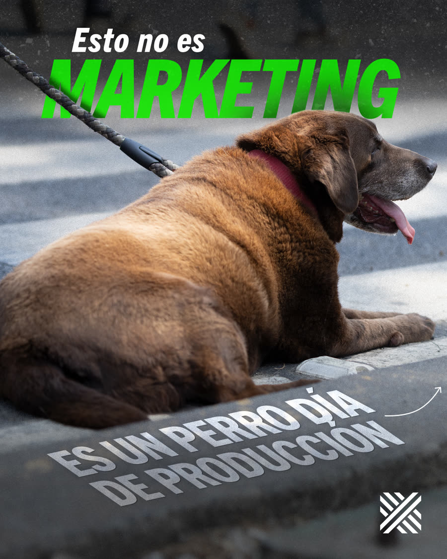Esto no es marketing: un perro día de producción